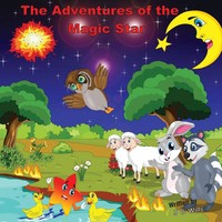 The Adventures Of The Magic Star J D Wills Taschenbuch Kartoniert / Broschiert