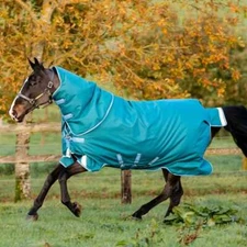 HORSEWARE IRELAND Amigo Bravo 12 Plus Storm Green/Turquoise/Aqua 400g Turnout