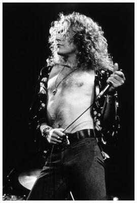 Robert Plant Poster 24x36 Inch Photo Rare Print Wall Art Print RP03 | eBay