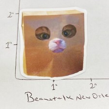 NEW  Cat Head in Paper Bag Funny Humor Meme Sticker Decal Laptop   w/ Tracking  