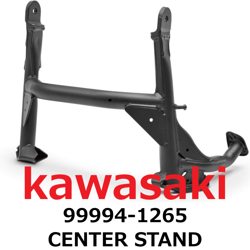 NEW】Kawasaki Genuine 2018-2019 NINJA H2 SX / SE / SE+ CENTER