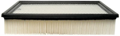 ACDelco GM Original Equipment A1618C 19166111 Air Filter