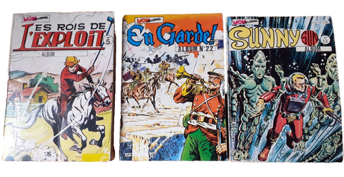 Collection de livres anciens reliés cuir – Ensemble homogène