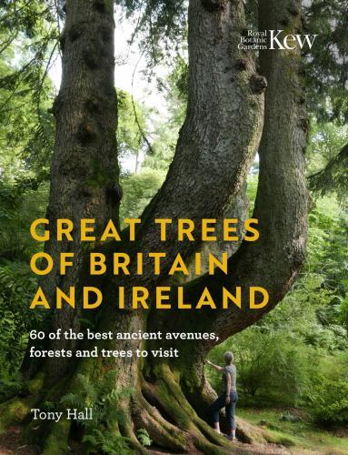 Great Trees of Britain and Ireland : 60 of the Best Ancient Avenues, Forests ...