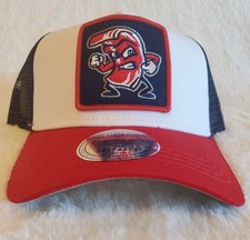 Lehigh Valley Ironpigs MiLB Ebbets Field Flannels Trucker Snapback Wht/Navy/Red