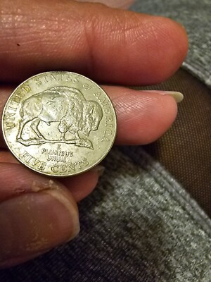 Collector's  coins 2005 Buffalo nickel