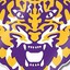 dfweasytiger