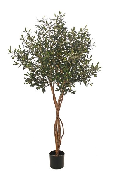 artplants Deko Olivenbaum GÖTzis, FrüChte, EchtstäMme, 165Cm-image