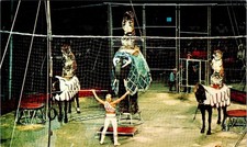 CIRCUS, Ringling Bros., Animal Trainer Gunther Gebel-Williams, TIGERS Postcard