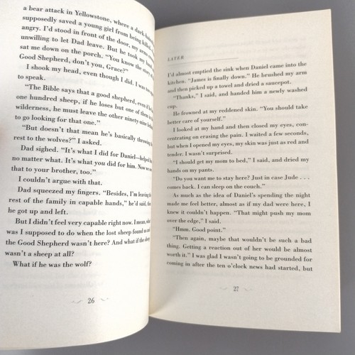 Paranormal Romance Book Bundle x 2 Titles The Lost Saint & The Dark Divine YA - Picture 13 of 17