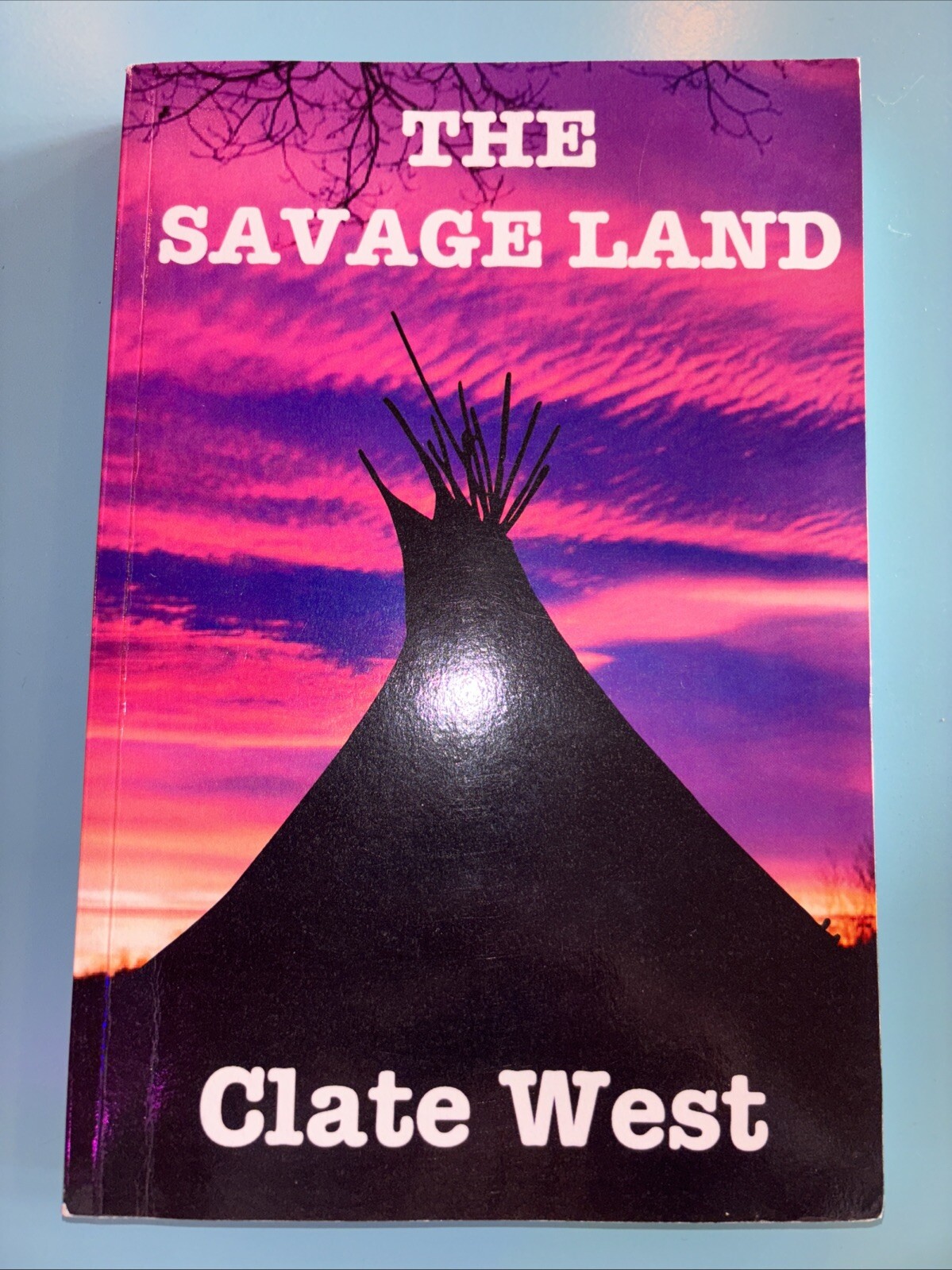 The Savage Land: Western Action Adventure Paperback NEW West, Clate
