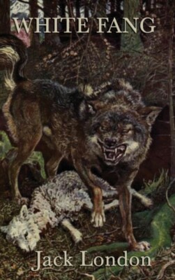 London - White Fang - New hardback or cased book - 50 - X555z