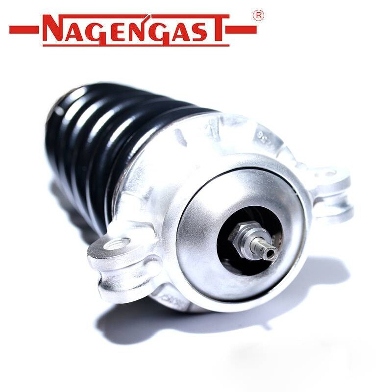 Ferrari 458 Rear Magnetic Ride Shocks (2)