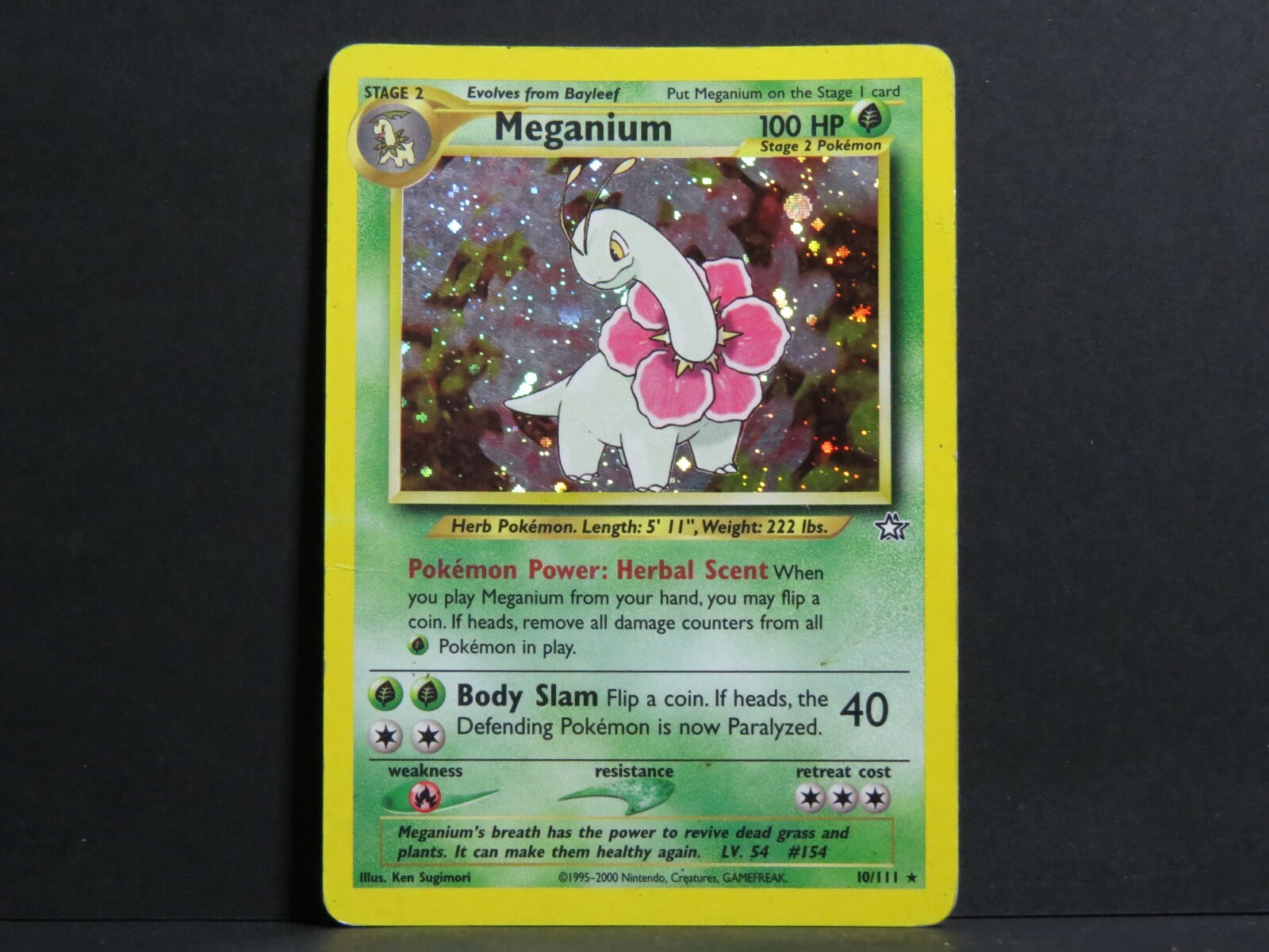 Meganium Pokemon Card - Printable Cards