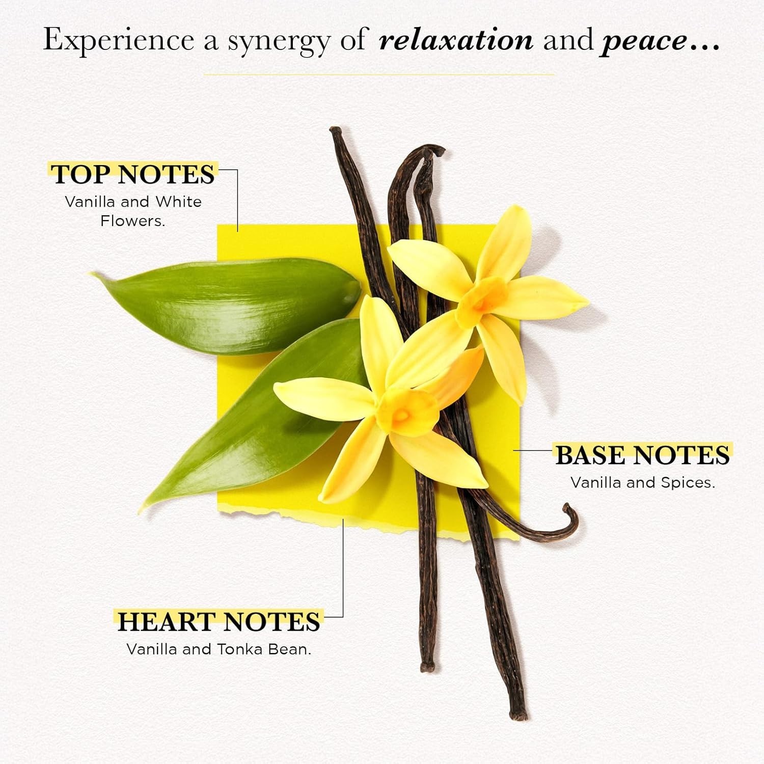 Vanilla Floral Body Spray 250ml Women’s Perfume, Warm Woody Scent, All-Day