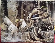DUCK Hunting Tin Sign 12x16 DUCKS UNLIMITED "Beaver Pond" by Harold Roe