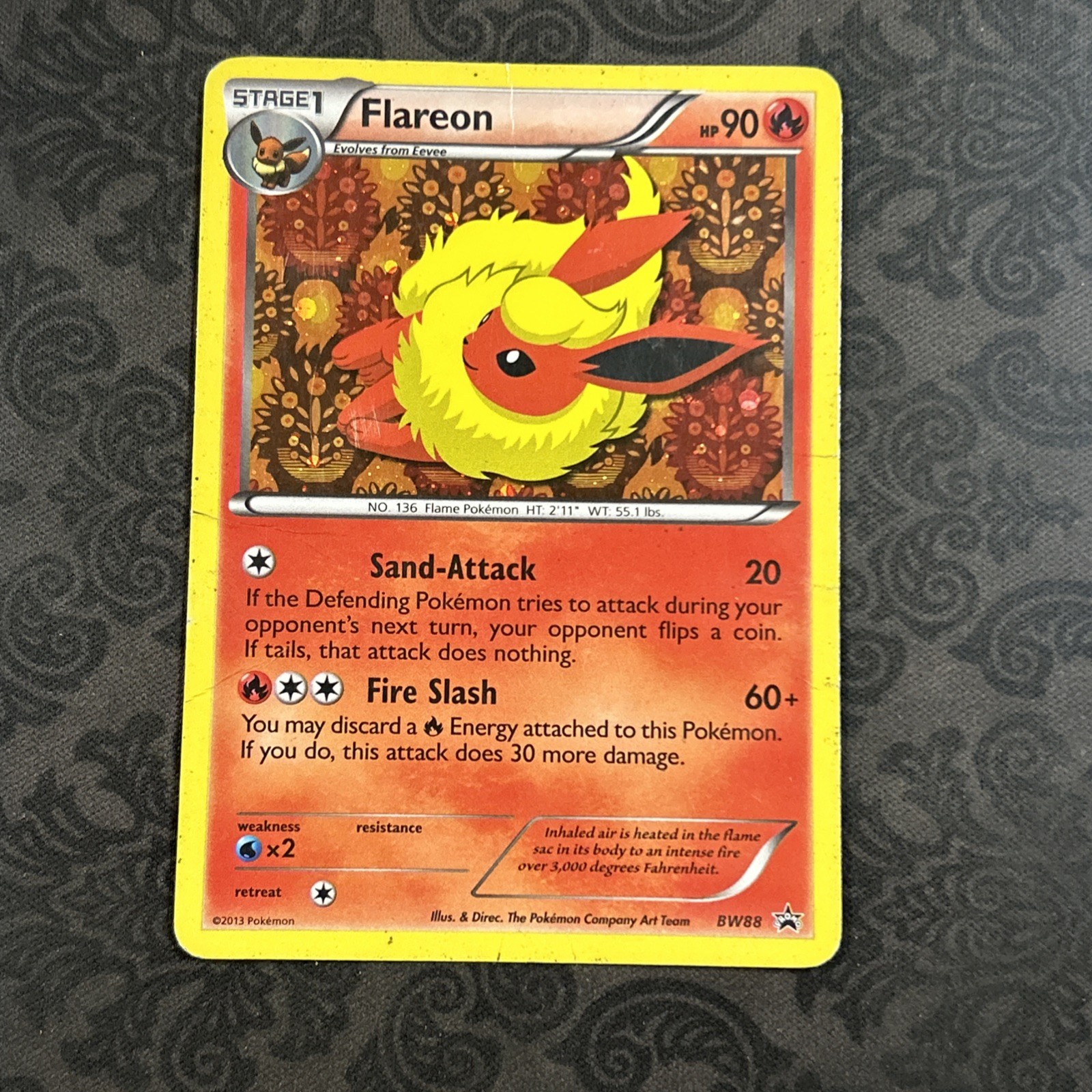 Flareon BW88 Black & White Promo Holo Pokémon TCG Card English