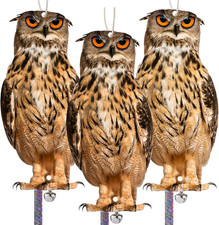 Owl to Keep Birds Away, 3 Pack Bird Scare Owl Fake Owl, Reflective Hanging Bird