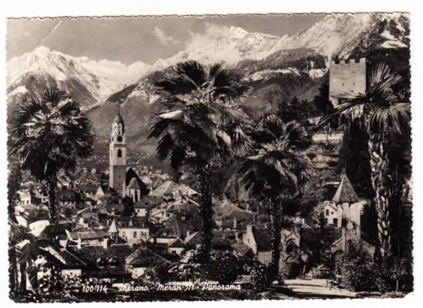 26-02393 - MERANO BOLZANO - PANORAMA VIAGGIATA 1960