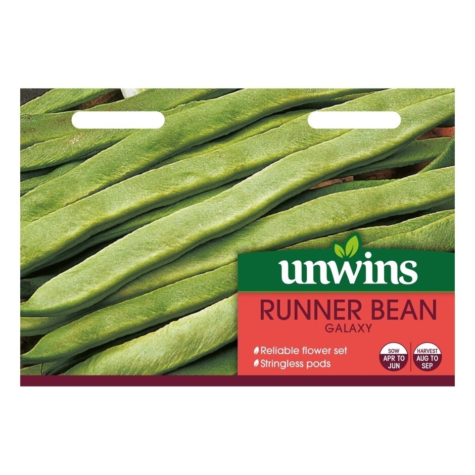 Unwins Seeds Galaxy Runner Bean Approx 30 seeds
