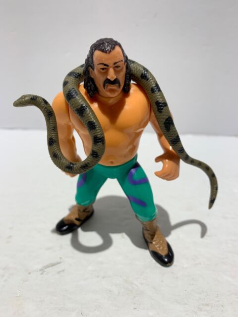 WWF Hasbro Jake The Snake Roberts & Damian Wrestling Action Figure COMPLETE 1991 | eBay