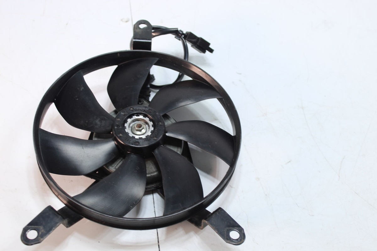 RRガーデン ZX-4RR ZX-4R : 2023-2025
