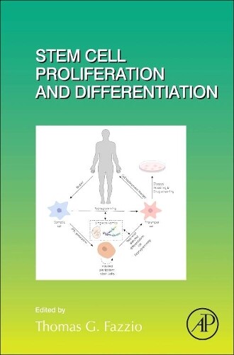 Thumbnail - Thomas G. Fazzio Stem Cell Proliferation And Differentiation