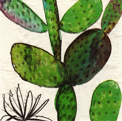 Full package of (20) Paper Lunch/Party Napkins - Southwest Cactus plant