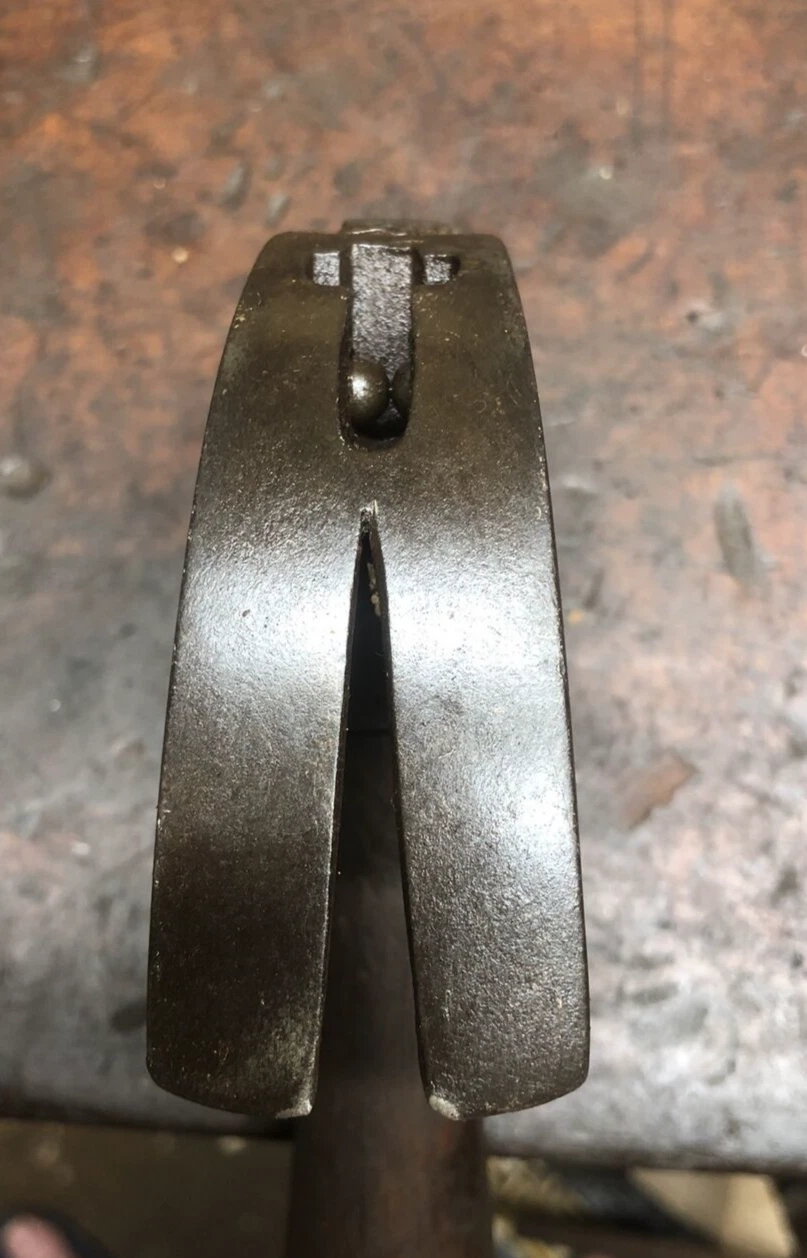 Picture 5 of 15