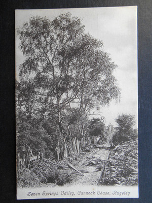 Seven Springs Valley Cannock Chase Rugeley Staffordshire - Pascoe & Son um 1910