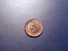 Uncirculated details 1901 Indian Head Cent
