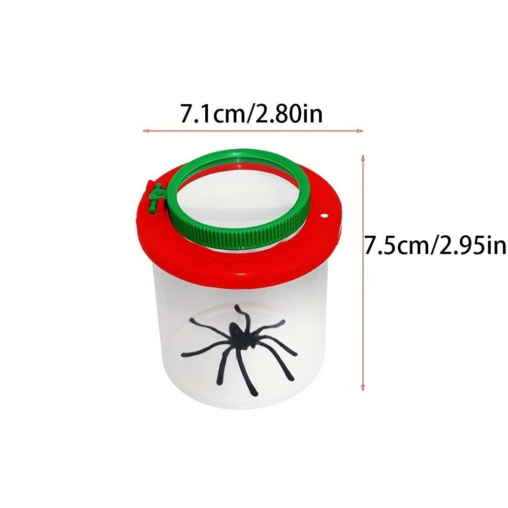 Handheld Insect Magnifying Glass Kindergarten Fun Teaching Toys eBay