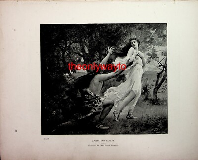 Apollo und Daphne (treue Suffolk-Husaren auf der Rückseite), Buchillustration, 1895