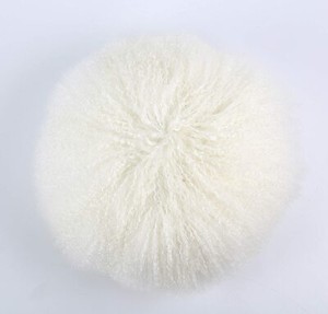 evolution travel pillow