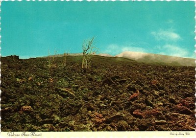 Vintage Dexter Postcard: Devastated Volcano Area, Hawaii Volcanos National Park