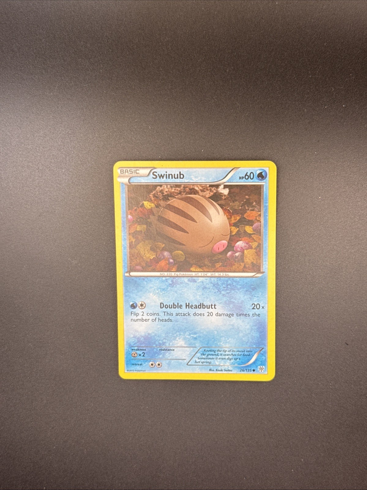 LP Swinub 26/135 Plasma Storm Regular