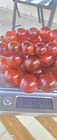 Bild 11 von 11