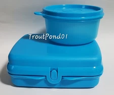 Tupperware Sandwich Keeper Square Storage Container and Snack Serving Dish Blue