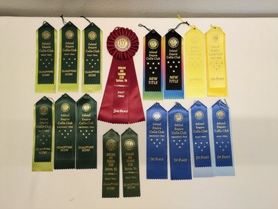 Lot of AKC Ribbons 14 Inland Empire Collie Club! 3 Spokane Dog Training Club!  
