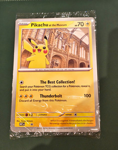 Pikachu at the Museum | eBay