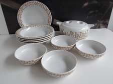 Arzberg Herbstlaub Blätter Konvolut Suppenteller Schalen Terrine