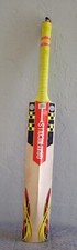 GRAY-NICOLLS POWERBOW5 PLAYERS Cricket Bat