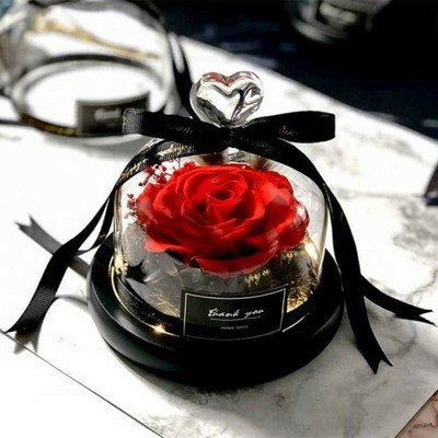 Rose Eternelle Rouge Veritable Sous Cloche En Verre Avec Lumieres L D Ebay