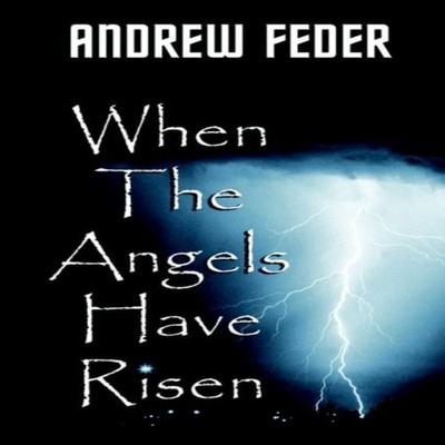 When the Angels Have Risen ANDREW FEDER Paperback Author Solution