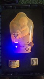 Death Stranding BB Pod in Cargo Case Collectors Edition Kojima Sony PlayStation
