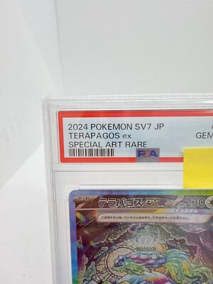 PSA 10 Terapagos ex SAR 130/102 sv7 Stellar Miracle Pokemon Card