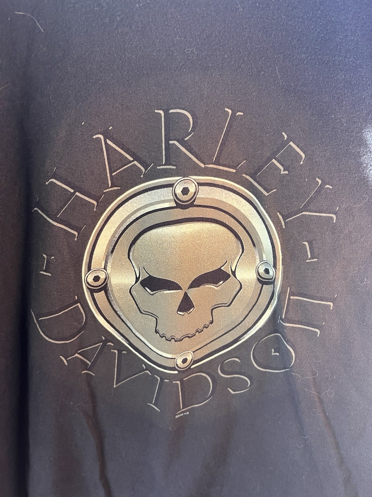 ALTRA T shirt moto Harley Davidson Skull 2005 XL Salinas CA