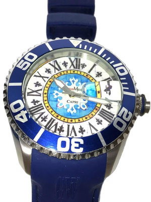 CAPRI Water Proof Stainless Steel Rubber Analog Men's Watch Used Good  Condition