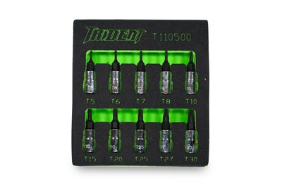 Torx Bit Steckschlüsselsatz 1/4'' Antrieb 10-teilig T5 - T30 in EVA Schaumstoff Dreizack T110500EVA