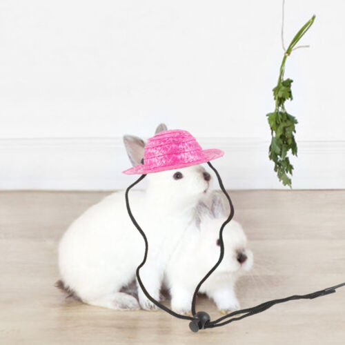 1 Set Small Animal Costume Skirt Hat Hamster Tutu Rock Cap Pet Cosplay Costume - Picture 1 of 12